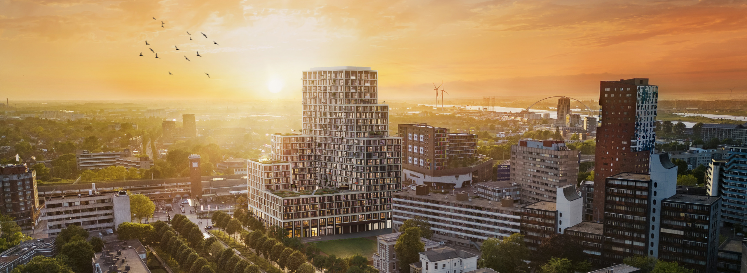 Metterswane_avondzicht