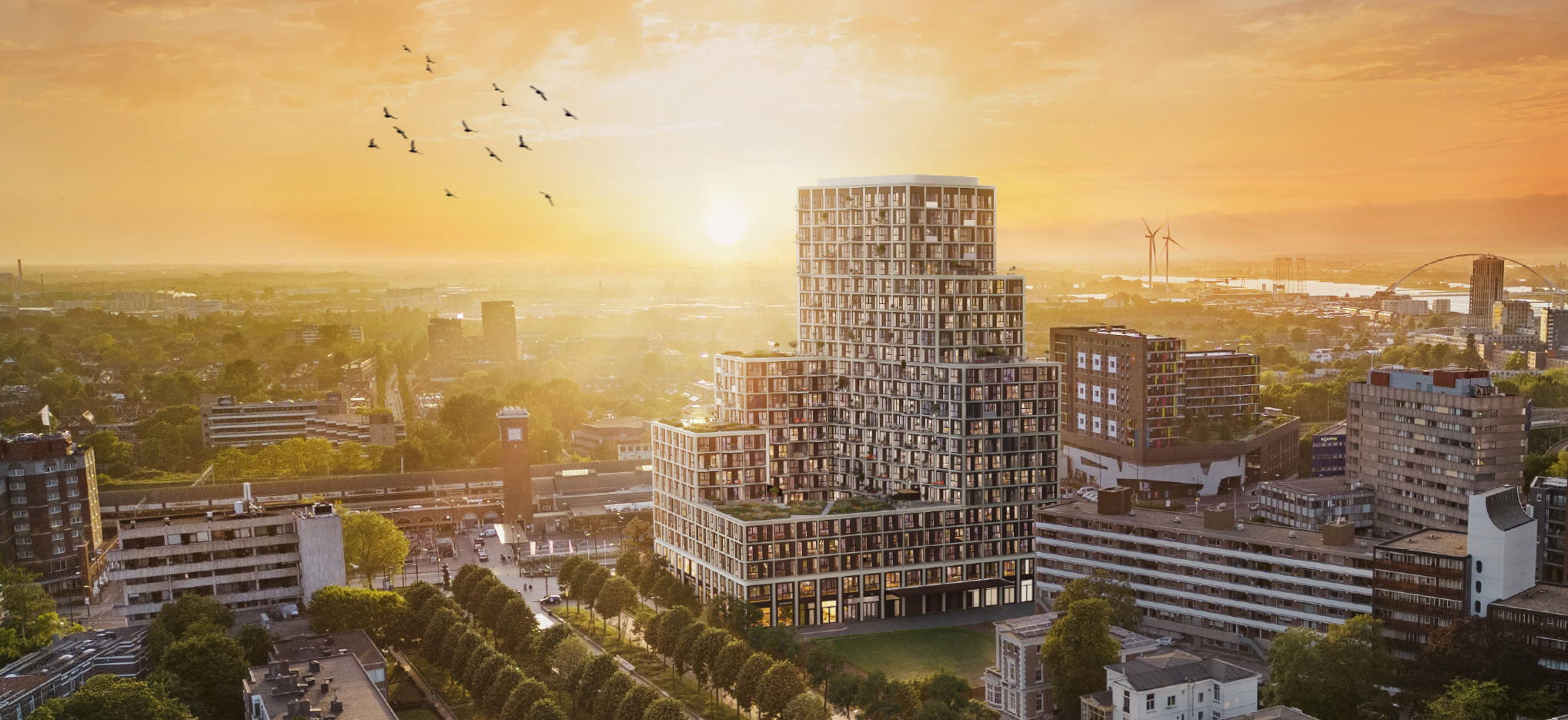 Metterswane_avondzicht_mobiel